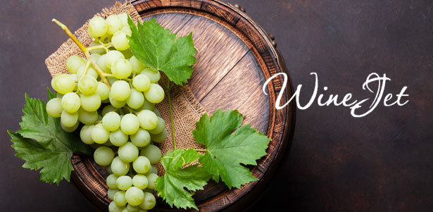 Мастер-класс «Как стать винным дегустатором» в школе сомелье WineJet. **Скидка до 62%**. Санкт-Петербург - kupikupon.ru Мастер-класс «Как стать винным дегустатором» в школе сомелье WineJet. **Скидка до 62%**