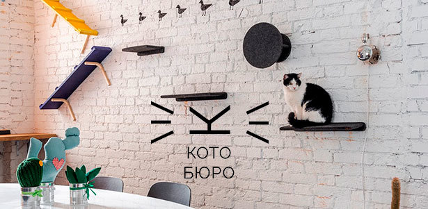 Познавательная экскурсия, чай, кофе, сладости и настольные игры в котокафе «Котобюро». **Скидка 50%**. Всё Подмосковье - kupikupon.ru Познавательная экскурсия, чай, кофе, сладости и настольные игры в котокафе «Котобюро». **Скидка 50%**