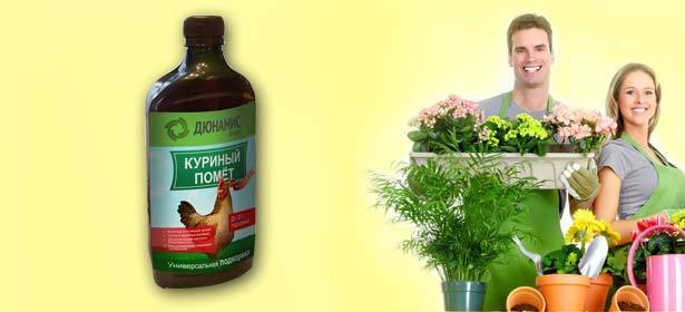 5, 10 или 18 бутылок универсального органического жидкого удобрения-концентрата «Дюнамис». Богатого вам урожая! Скидка до 60%. Москва - kupikupon.ru 5, 10 или 18 бутылок универсального органического жидкого удобрения-концентрата «Дюнамис». Богатого вам урожая! Скидка до 60%