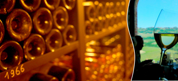 Программа «Сомелье для начинающих» от Ian MacLeod Distillers Ltd. Научитесь получать максимум удовольствия от виски, вина и не только, профессинально улавливая каждый нюанс. **Скидка 92%**. Москва - kupikupon.ru Программа «Сомелье для начинающих» от Ian MacLeod Distillers Ltd. Научитесь получать максимум удовольствия от виски, вина и не только, профессинально улавливая каждый нюанс. **Скидка 92%**