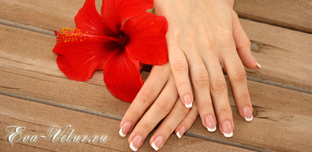 Классический маникюр и педикюр с покрытием Shellac в салоне красоты EVA-VELUR. **Скидка до 78%**. Москва - kupikupon.ru Классический маникюр и педикюр с покрытием Shellac в салоне красоты EVA-VELUR. **Скидка до 78%**