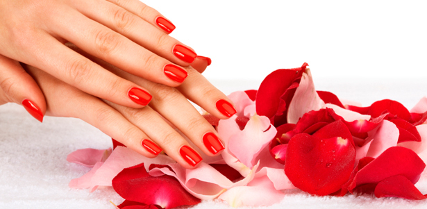 Японский, аппаратный, классический, spa-маникюр и педикюр с покрытием Shellac + временные татуировки хной в салоне Nail Studio на Академической. **Скидка до 82%** . Москва - kupikupon.ru Японский, аппаратный, классический, spa-маникюр и педикюр с покрытием Shellac + временные татуировки хной в салоне Nail Studio на Академической. **Скидка до 82%**