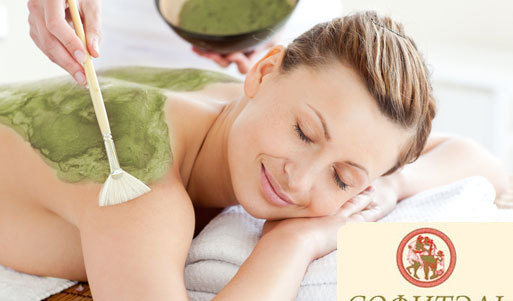 Рецепт долголетия вашей красоты! Скидка 60% на SPA-процедуры в салоне красоты и здоровья «Софитэль». Уфа - kupikupon.ru Рецепт долголетия вашей красоты! Скидка 60% на SPA-процедуры в салоне красоты и здоровья «Софитэль»