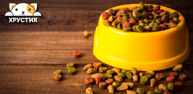 **Скидка до 10%** на сухие корма для домашних животных Pro Plan, Happy Dog, Gemon или Royal Canin от интернет-магазина «Хрустик»