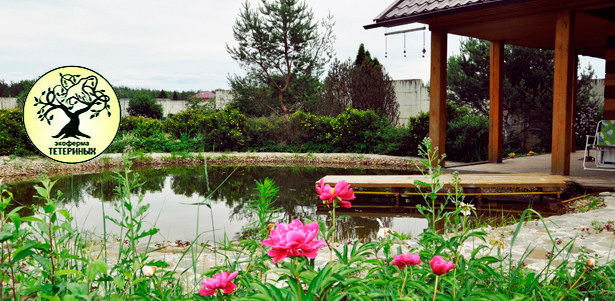 Отдых с проживанием, питанием, конной прогулкой, баней и мастер-классами на «Экоферме Тетериных». **Скидка до 47%**