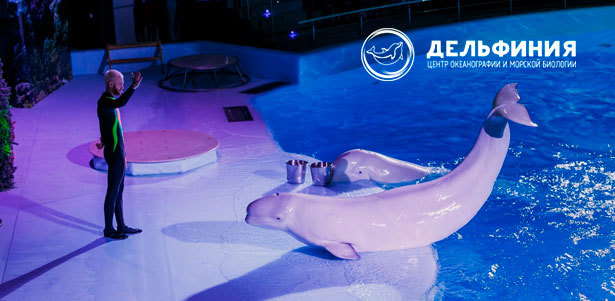 Выставка морских рыб и шоу морских животных в центре океанографии и морской биологии «Дельфиния». **Скидка 50%**