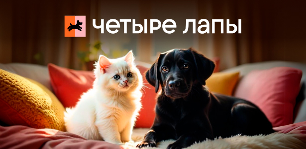 **Скидка 15%** на первый заказ для новых клиентов сети зоомагазинов Четыре лапы