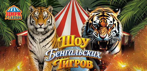 **Скидка до 50%** на билеты на новую программу «Шоу бенгальских тигров» с 14 марта в «Цирке в Автово»
