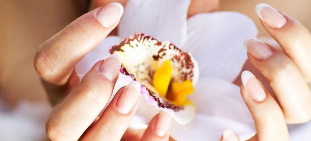 Европейский или комбинированный маникюр+SPA-уход+лак, укрепление,  наращивание, роспись и многое другое! Скидка до 67%!  