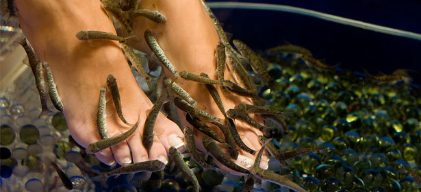 Бережный, расслабляющий уход за кожей ног Fish Spa для одного или двоих в центре «Невесомость». Это нужно попробовать! Скидка 65%