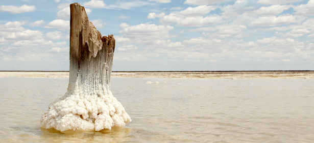Выходной тур на соленое озеро Баскунчак от «TRAVEL LAND»: музей соледобычи, цветущее лотосное озеро и не только. Скидка до 54%