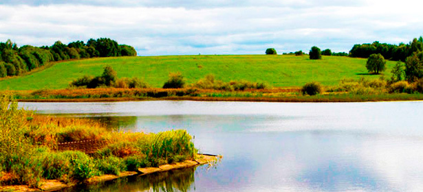 Земельный участок площадью 10 соток за 75000р. в дачном поселке «Солнечная поляна» от ЗАО «Национальная девелоперская компания». **Скидка 50%**<div class="day1"></div>