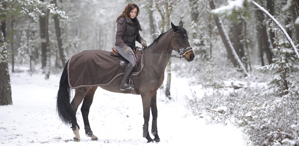 Конные прогулки и катание на санях от конного клуба «Конеферма Волкова». **Скидка до 65%**