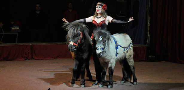 Билеты в легендарный цирк-шапито «Олимп». С 12 по 29 июня в парке 500-летия Чебоксар. Шоу света, звука и тени, дрессированные животные и уникальные номера разных цирковых жанров. **Скидка 50%** 
